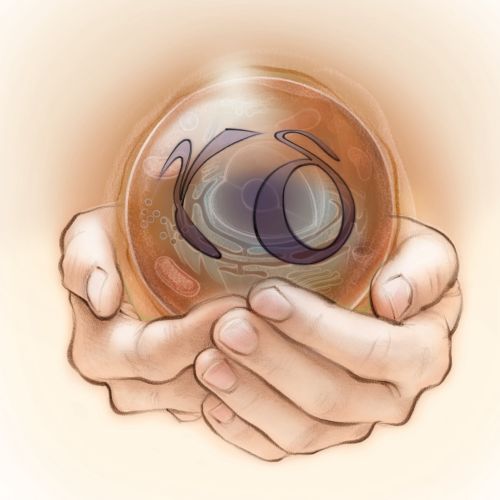 Juliet Percival International medical & line illustrator. UK