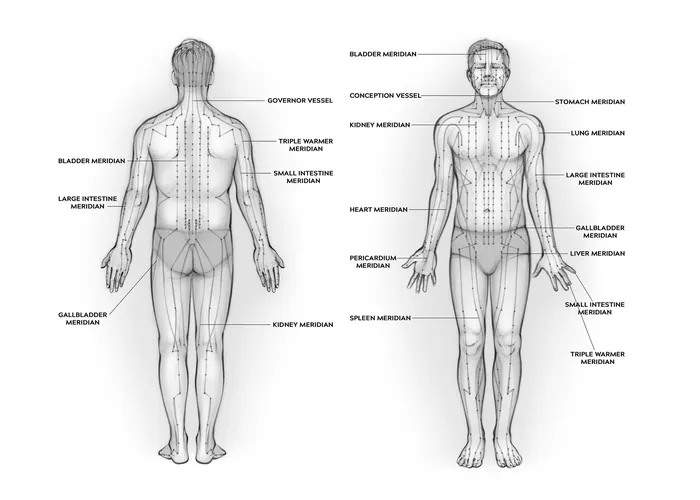Black and white anatomical diagrams of male body meridian lines
