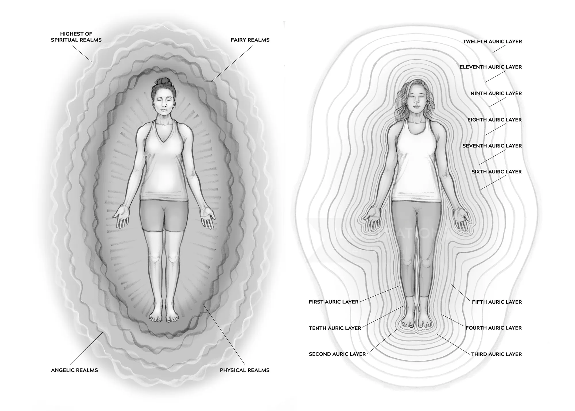 Black and white illustration of two women with labeled subtle energy layers