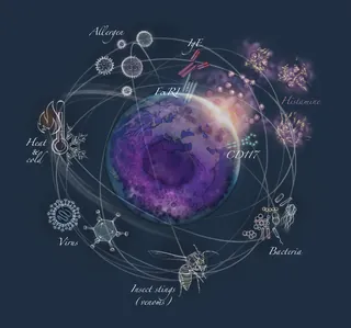 Illustration of a mast cell surrounded by labeled skin-related elements