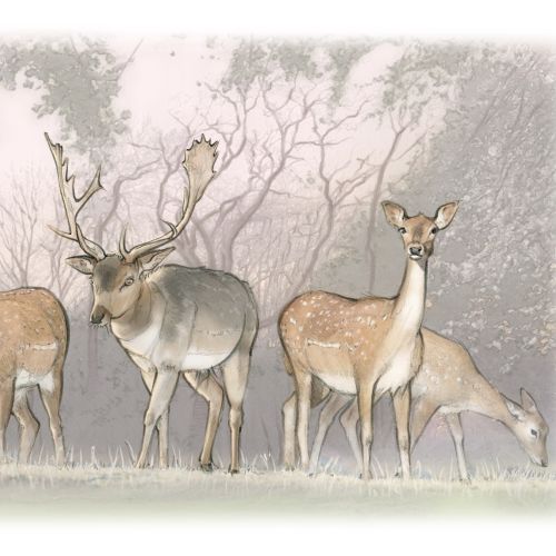 Illustration of a stag and three deer in a misty forest