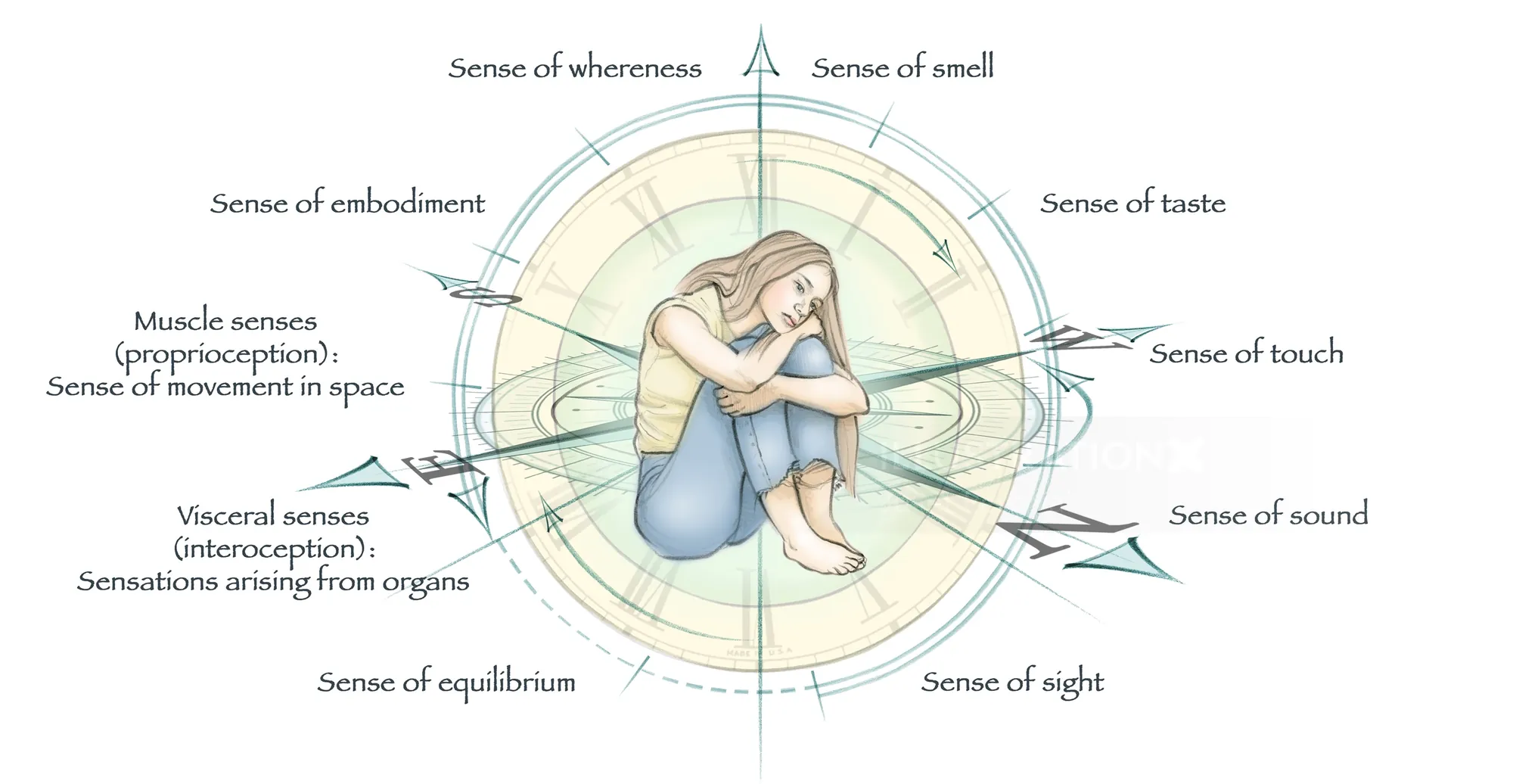 Illustration of a person curled up surrounded by labeled senses
