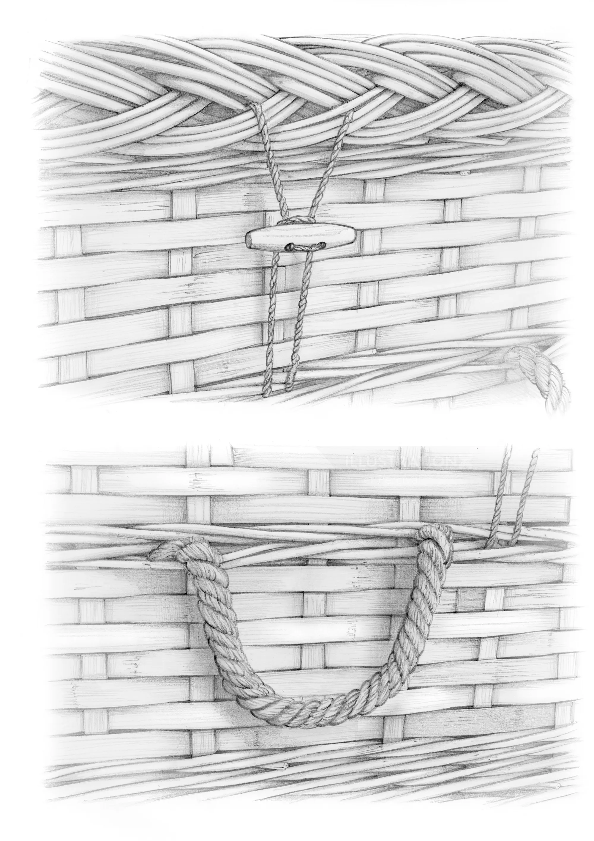Detailed pencil drawing of bamboo basket weaving by Juliet Percival