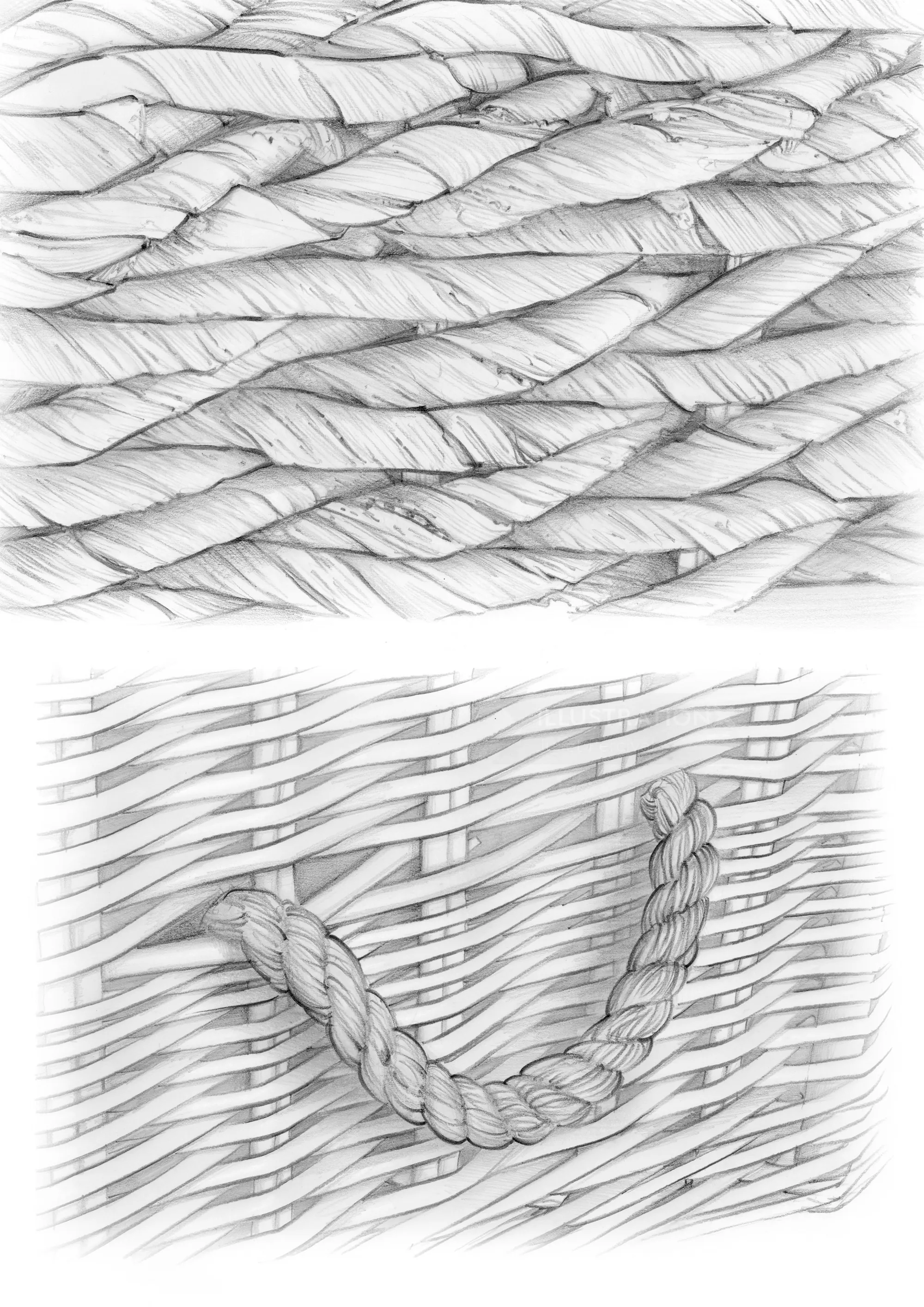 Pencil illustration of woven banana leaf and willow basket handle by Juliet Percival