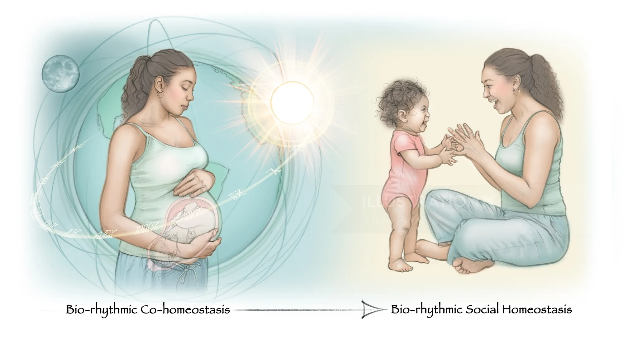 Pregnant woman and mother with child showing biorhythmic synchrony by Juliet Percival