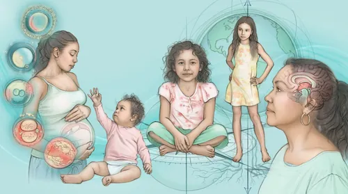 Illustration showing human development stages from baby to adult by Juliet Percival