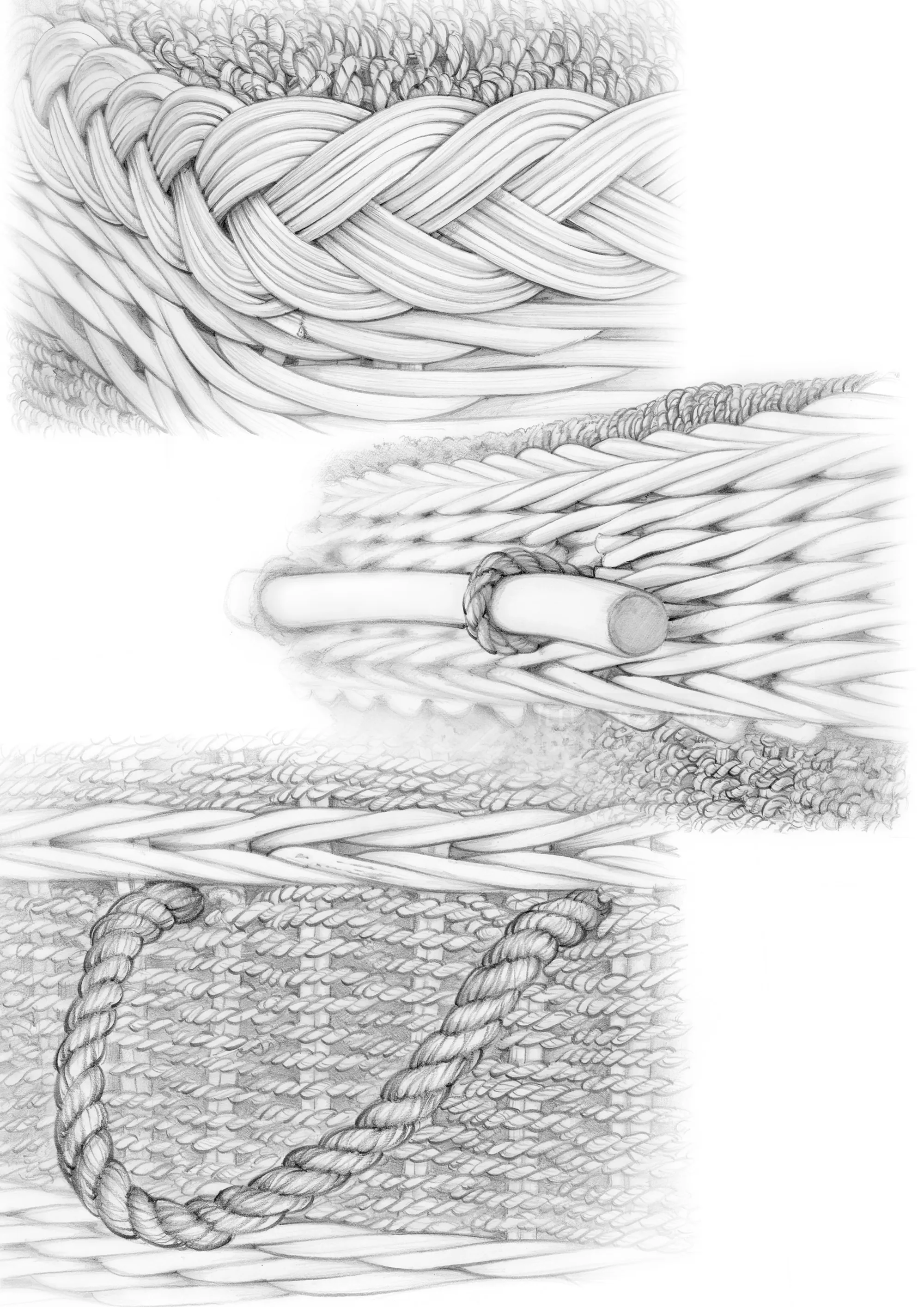 Detailed pencil drawings of woven seagrass baskets by Juliet Percival