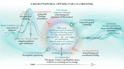 Diagrama que ilustra la apertura microtemporal para el proceso de coorientación por Juliet Percival