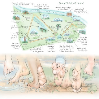 Illustration de « Marcher pieds nus » dans le magazine Kew
