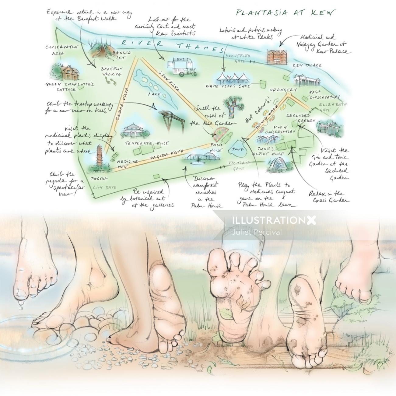 map, kew gardens, plant display, barefoot, walking, feet, toes, pebbles