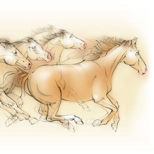 running horses, equine, animal, pencil, traditional