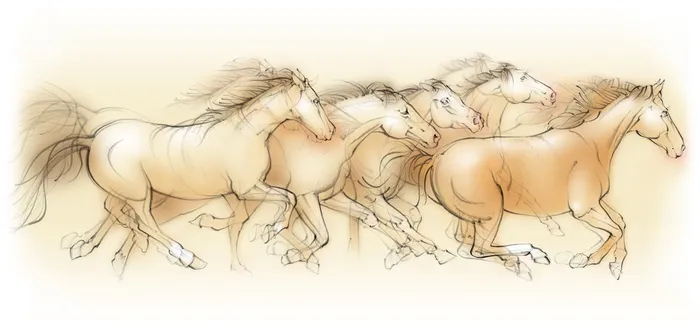 running horses, equine, animal, pencil, traditional