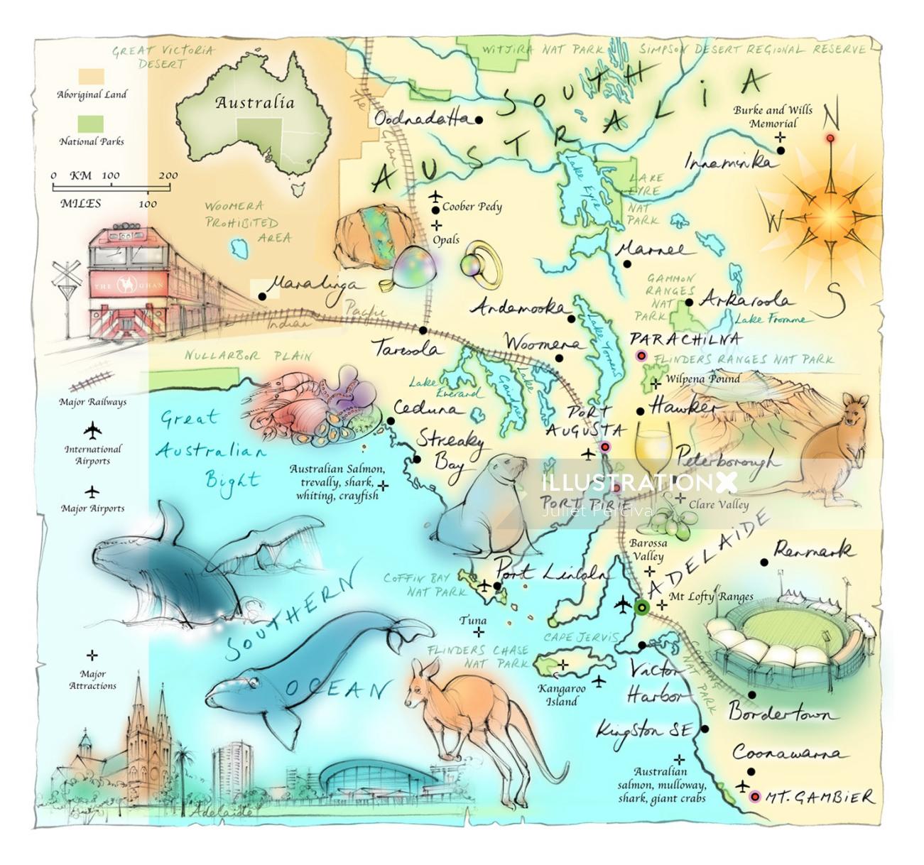 South Australia Tourist Map Juliet Percival - Map, Botanical And Architectural Illustrator, Uk