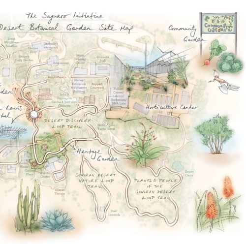 Botanical Garden, butterfly, aloe vera, cactus, sonoran desert, nature trail, horticulture