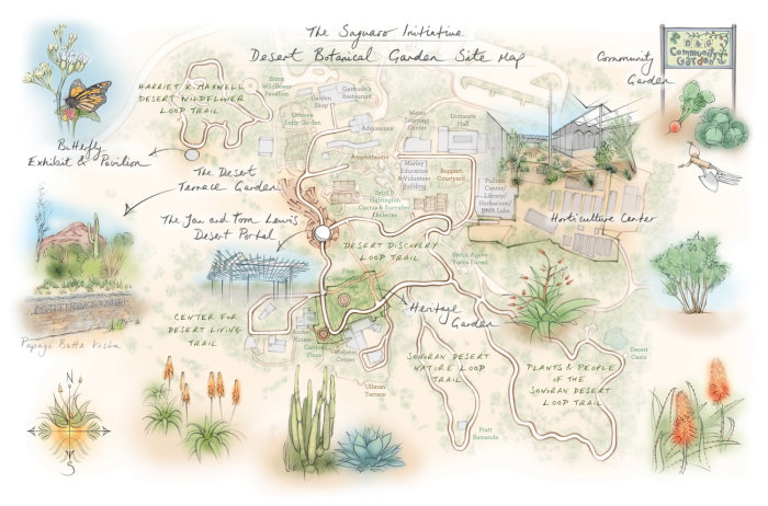 Botanical Garden, butterfly, aloe vera, cactus, sonoran desert, nature trail, horticulture