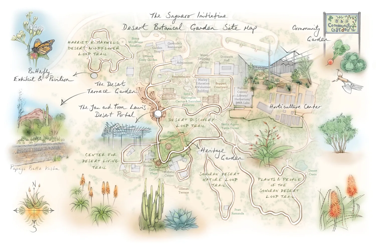 Botanical Garden, butterfly, aloe vera, cactus, sonoran desert, nature trail, horticulture