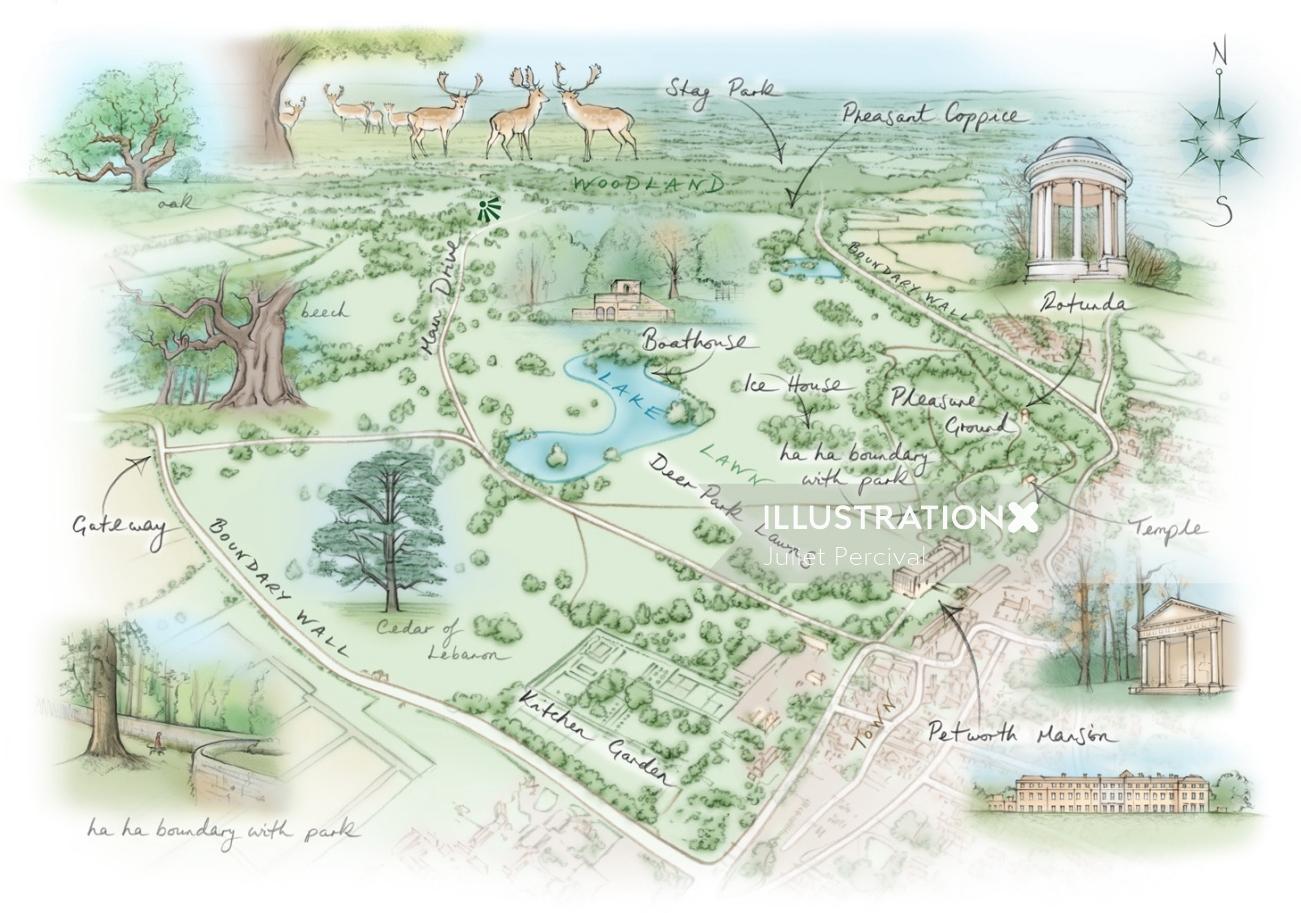 Petworth Map Illustration by Juliet Percival