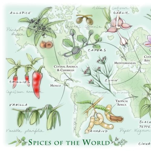 "Spices of the World" map illustration for Kew Magazine Summer 2015