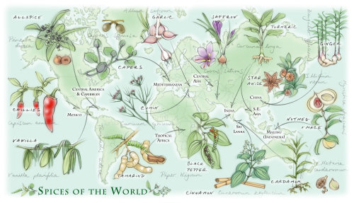 carte du monde, épices, traditionnel, dessiné à la main,