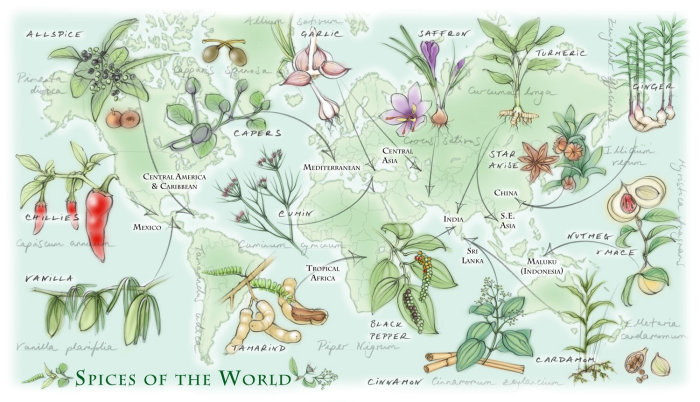 "Spices of the World" map illustration for Kew Magazine Summer 2015