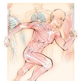 Juliet Percival Medical - illustrator
