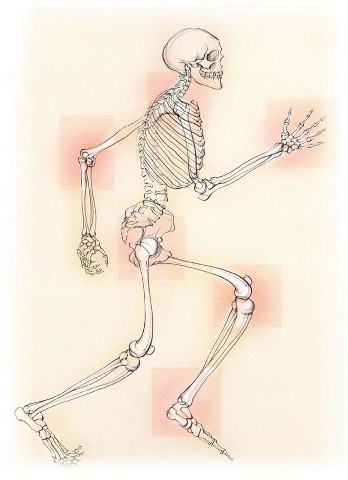 medical, anatomy, skeleton, osteoarthritis, joints