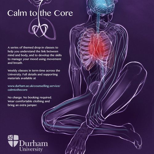 yoga, health, anatomy, sitting pose, exercise, brain