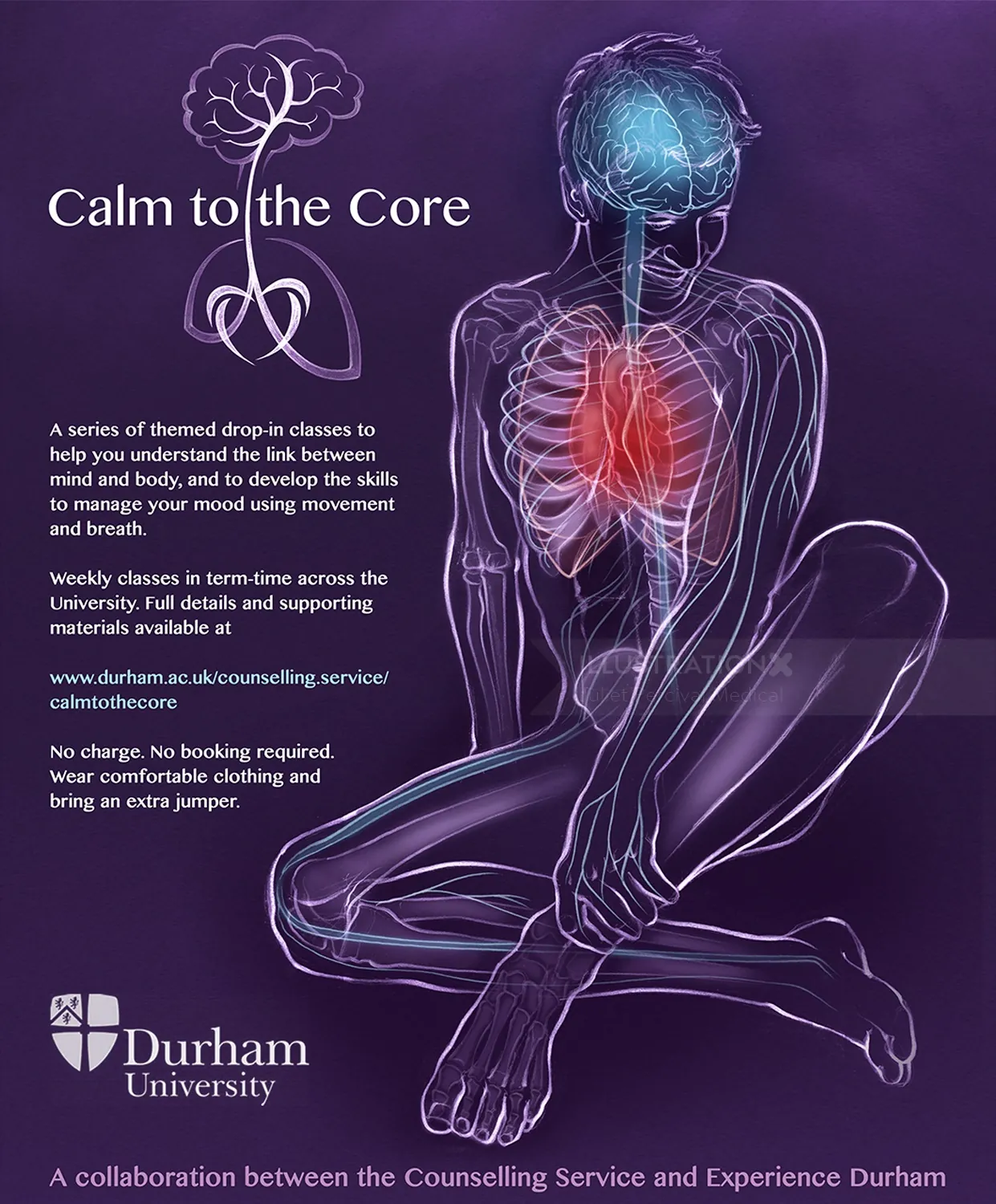 yoga, health, anatomy, sitting pose, exercise, brain