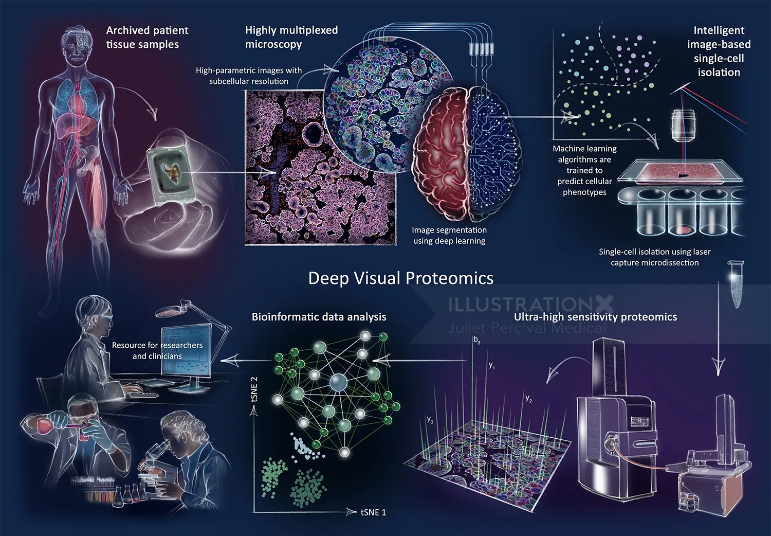 brain, histology, mass spectrometry, research, laboratory, microscopy, protein analysis