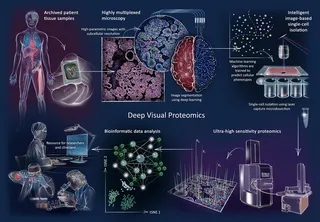 brain, histology, mass spectrometry, research, laboratory, microscopy, protein analysis