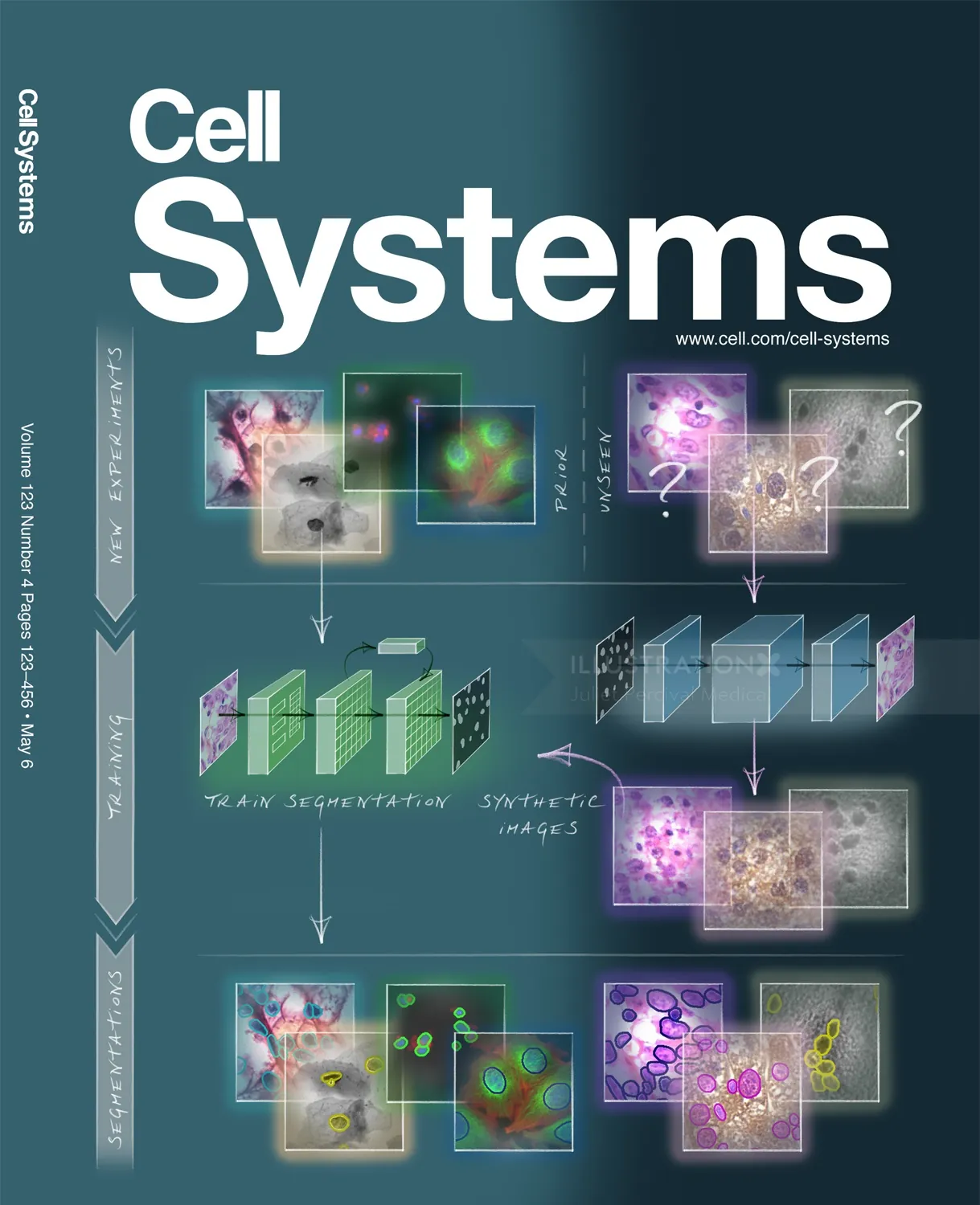 histology, cells, anatomy, segmentation, research, science