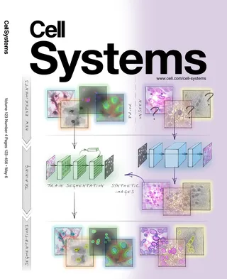 histology, cells, anatomy, segmentation, research, science