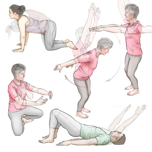 cat curl, bridge pose, exercise, stretch, yoga