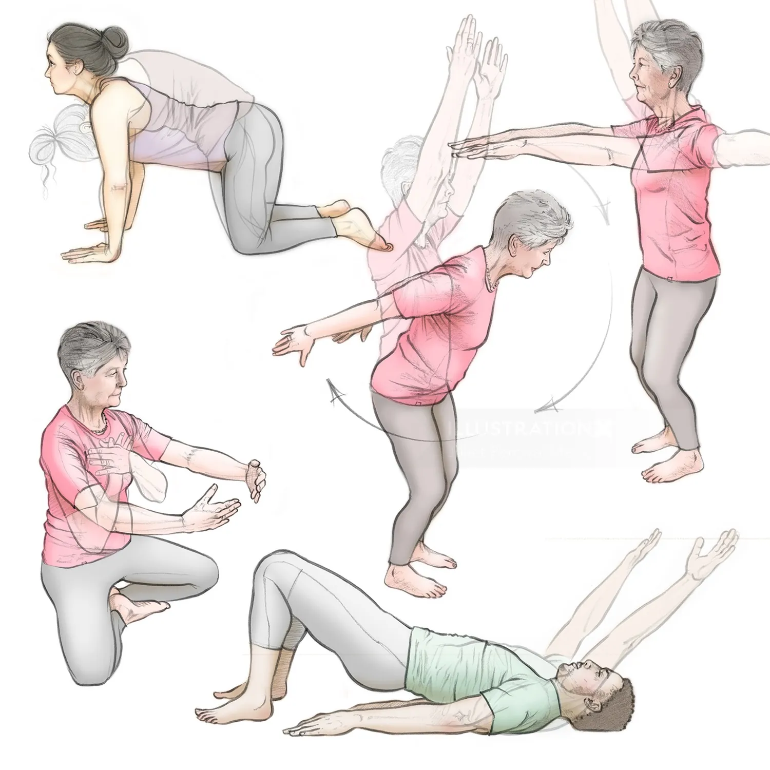 cat curl, bridge pose, exercise, stretch, yoga