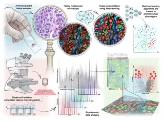 science, molecular, cell, histology, data analysis, research