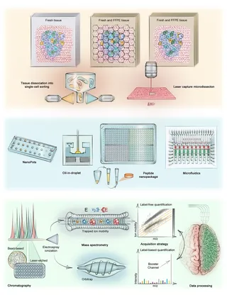 science, research, molecular biology, mass spectrometry, chromatography, artificial intelligence