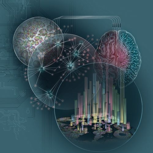 science, research, histology, artificial intelligence, brain networks, proteomics