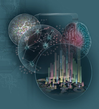 science, research, histology, artificial intelligence, brain networks, proteomics