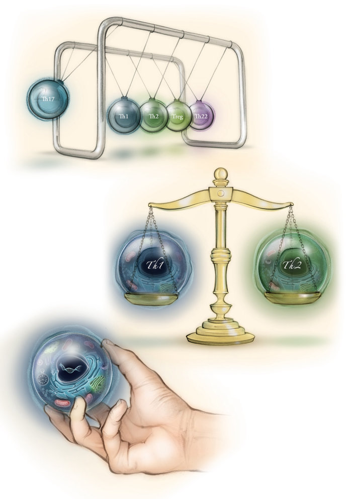 T cell, organelles, nucleus, weighing scales, hand drawn, traditional, newtons cradle