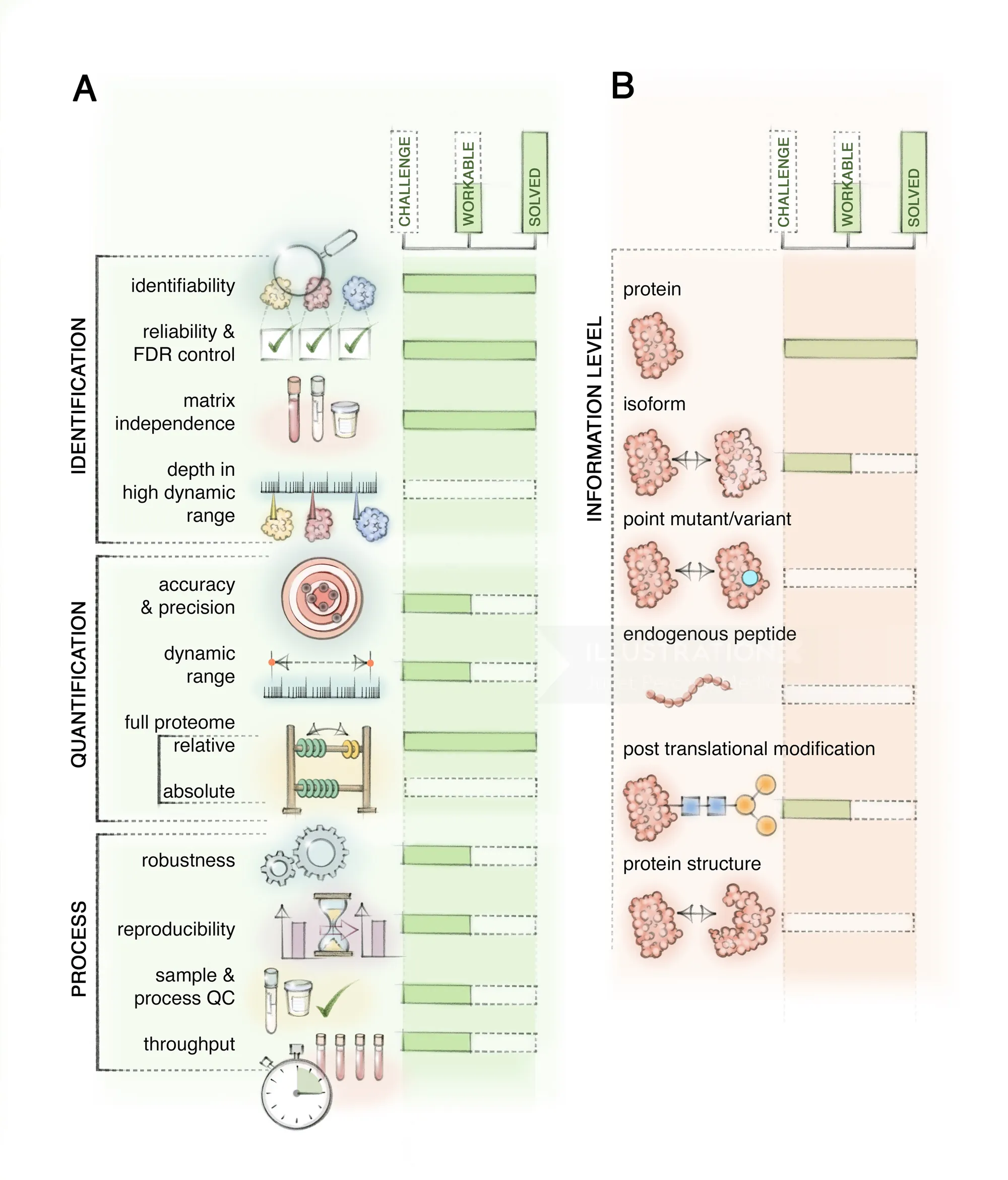 Illustrated infographic showing proteomics workflow with identification and quantification steps