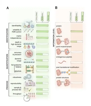 Illustrated infographic showing proteomics workflow with identification and quantification steps