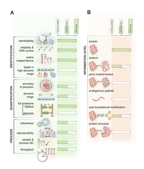 Illustrated infographic showing proteomics workflow with identification and quantification steps