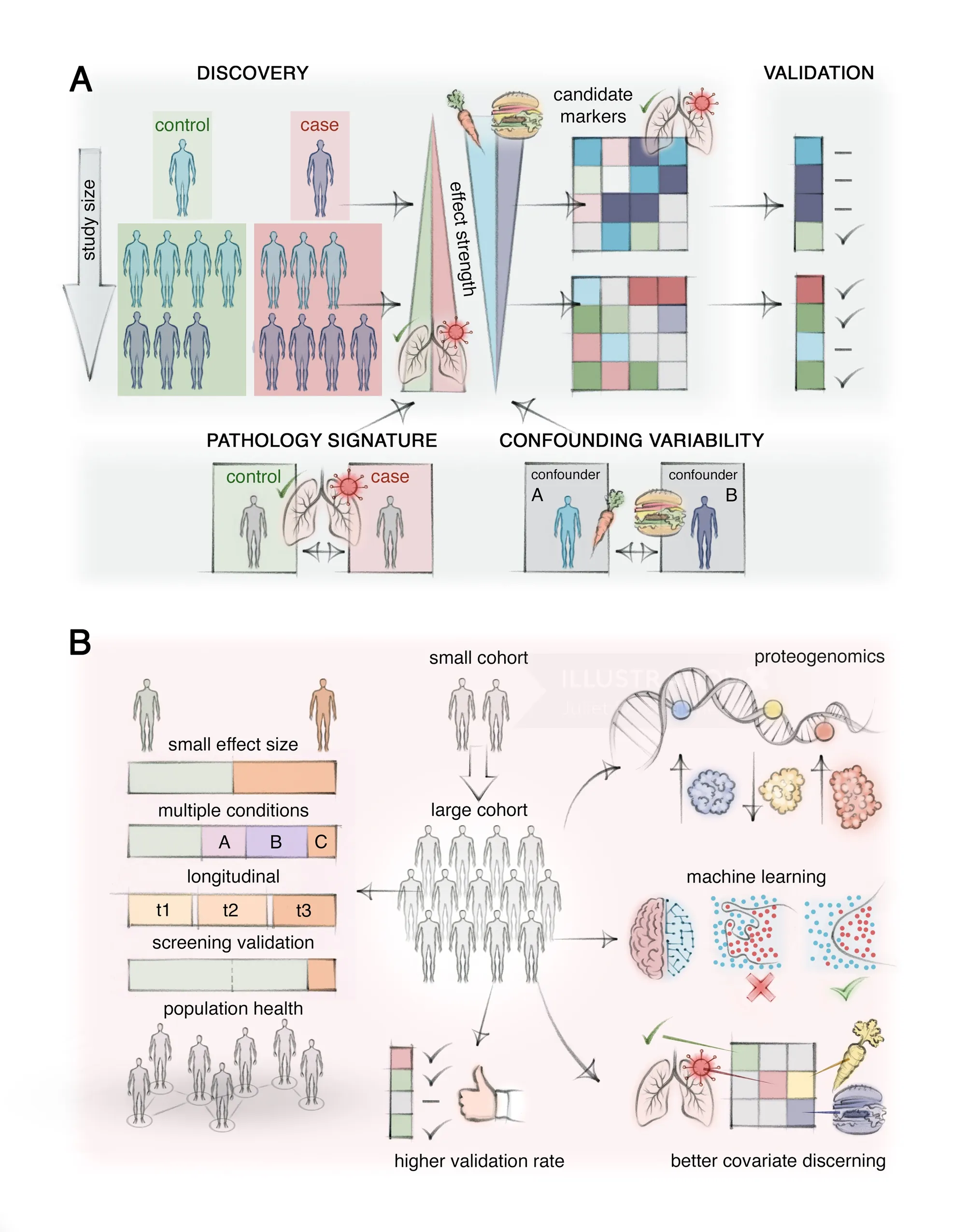 Scientific diagram showing proteomics study workflow and data analysis