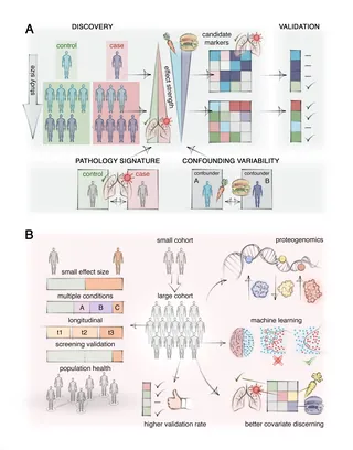 Scientific diagram showing proteomics study workflow and data analysis
