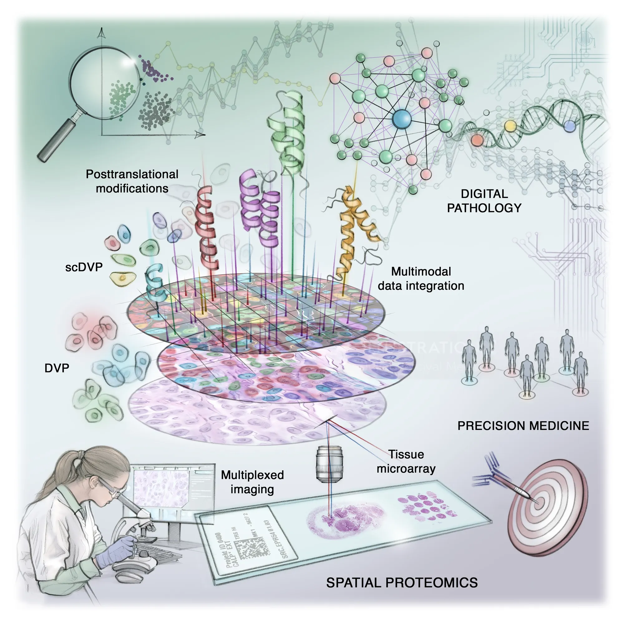 Illustration of spatial proteomics integrating multimodal data for precision medicine
