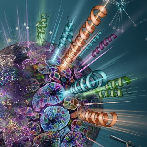 Scientific visualization of spatially resolved transcriptomics with researcher