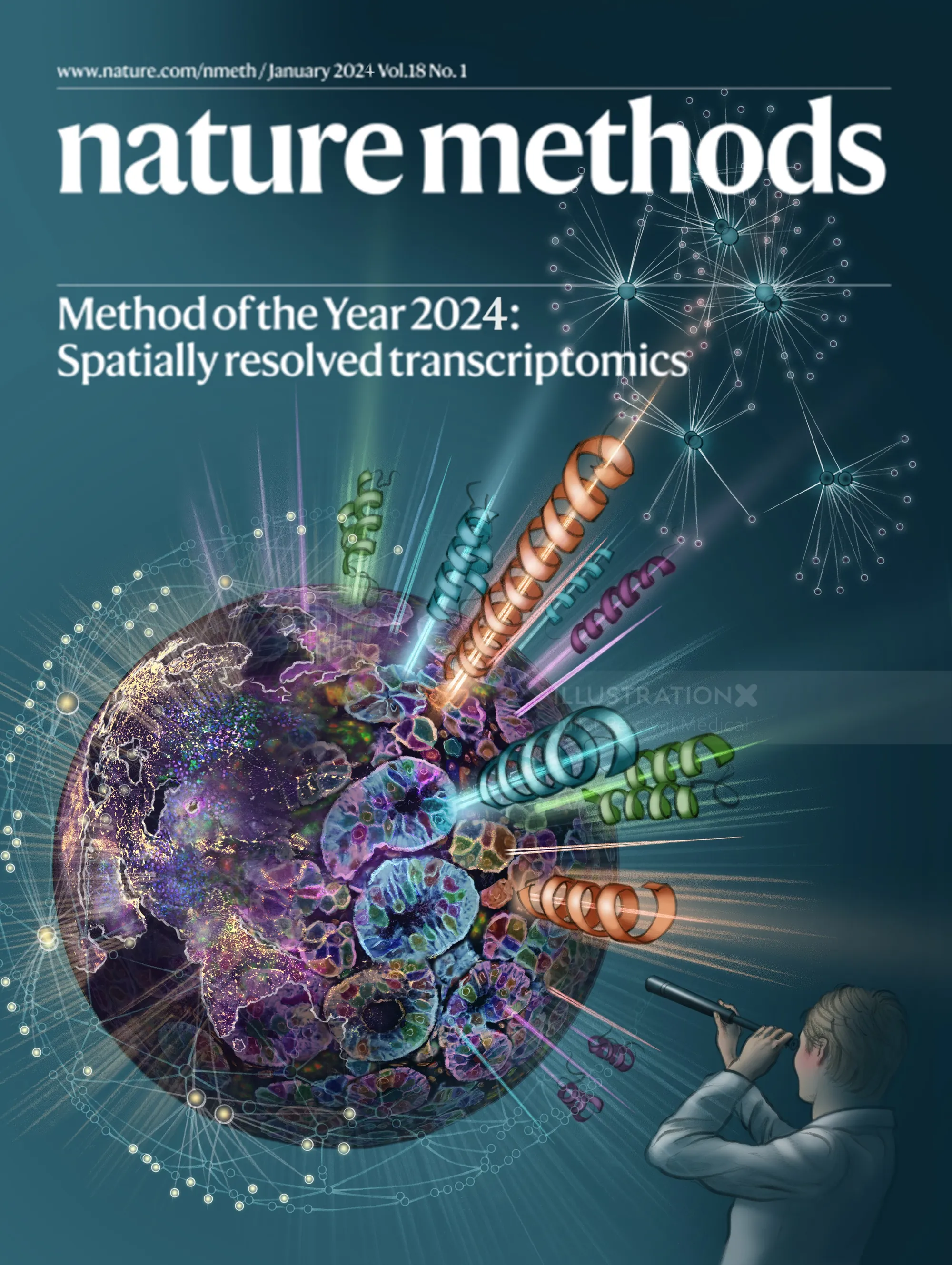 Scientific visualization of spatially resolved transcriptomics with researcher