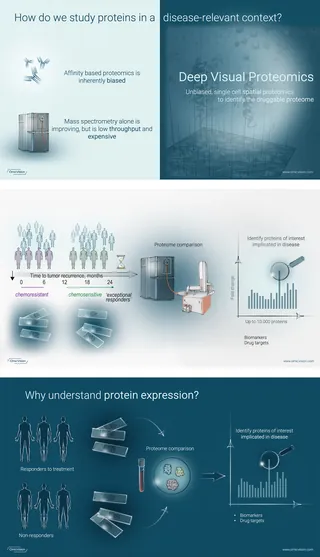 Infographic explaining protein study methods and expression analysis