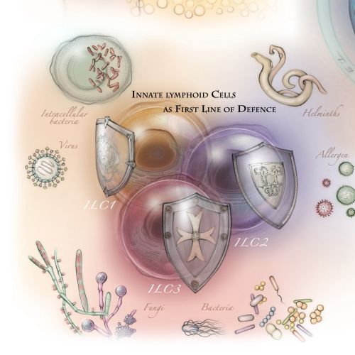 Illustration of human skin cells and immune response with hand and butterfly