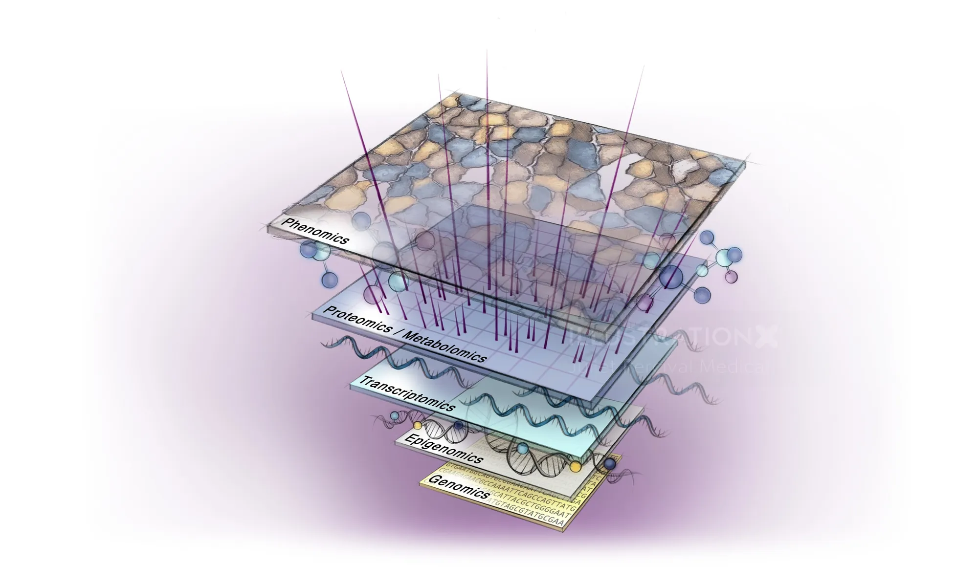 Illustration of spatial proteomics layers for diagnosing mitochondrial diseases by Juliet Percival M